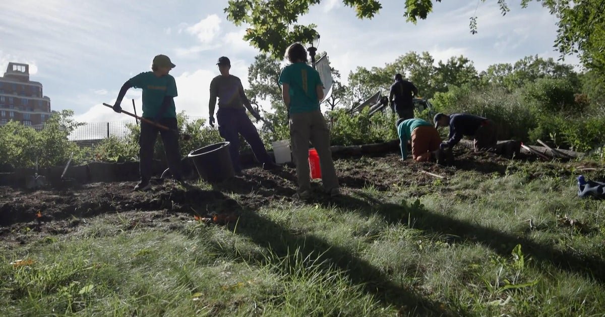 How this New York City community cleanup project is helping adults make new friends