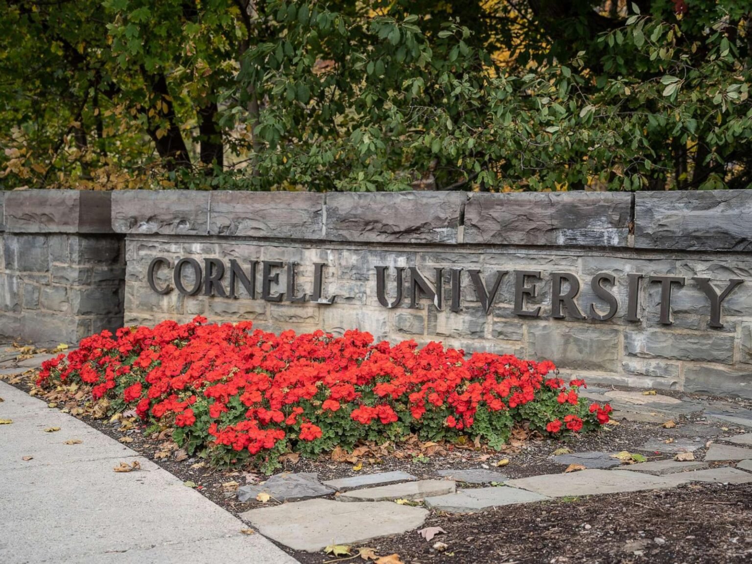 DA's office declined to review additional material on Cornell 'gang rape' probe: Docs