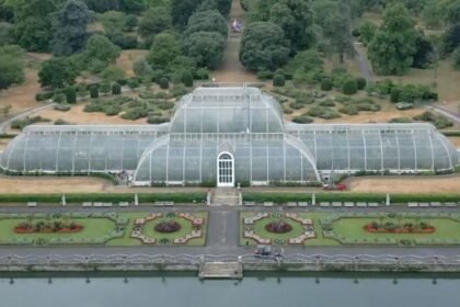 How to move 1,300 plants for Kew's Palm House mega makeover