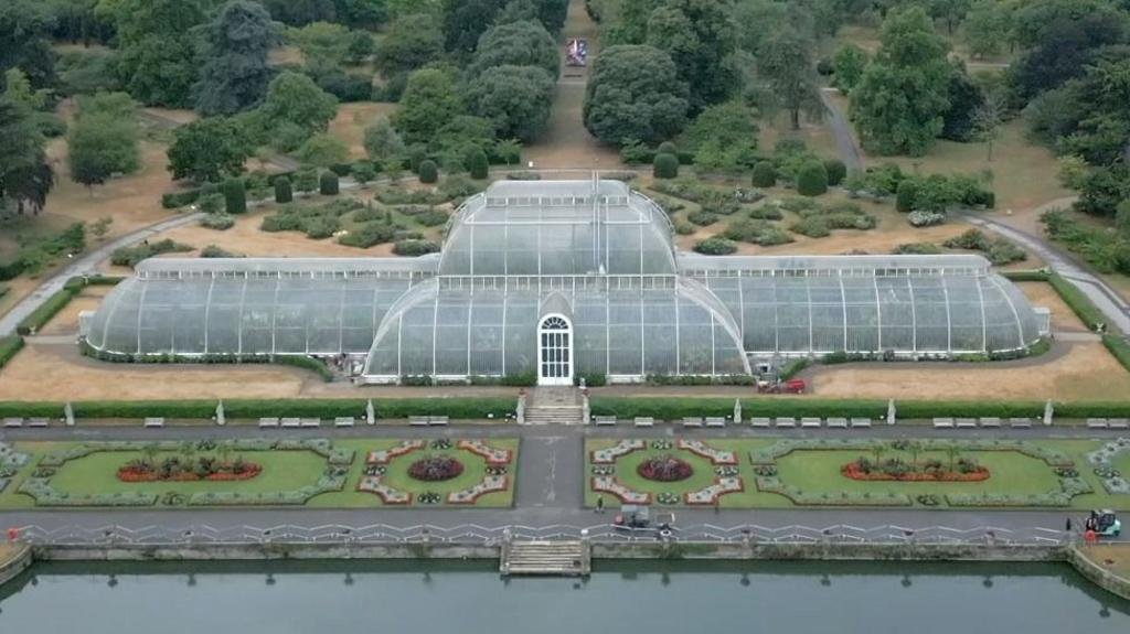How to move 1,300 plants for Kew's Palm House mega makeover