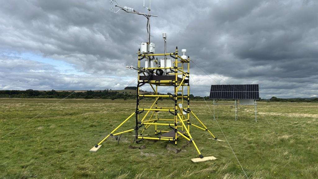 Carbon tracking tower put on Scotland's largest saltmarsh