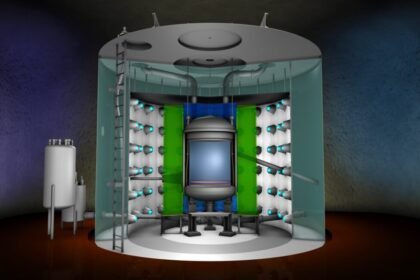 Research roundup: 6 cool science stories we almost missed
