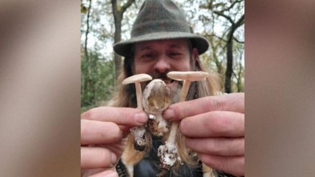 Why are there so many mushrooms around this year?