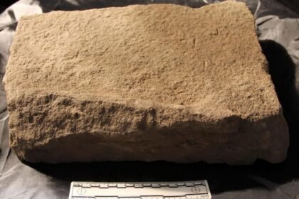 Lost monastery masonry may have been reused for hospital's drain