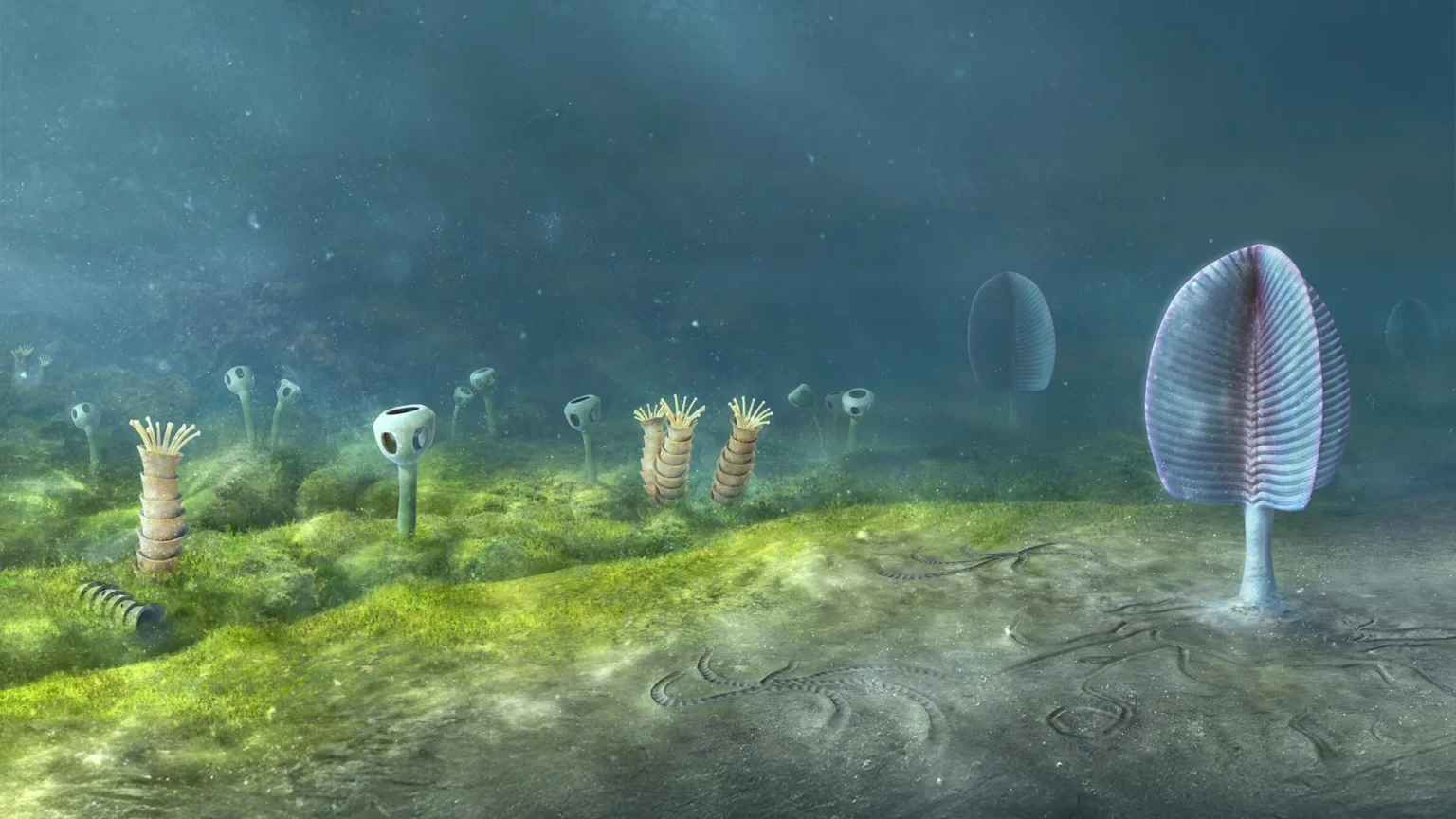 Animals may have evolved 200 million years earlier than we thought