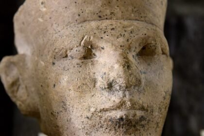 New forensic evidence supports Egyptian "retainer sacrifice"