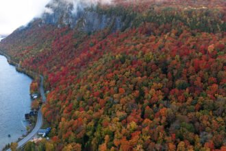 When Is the Best Time to See Peak Fall Foliage?