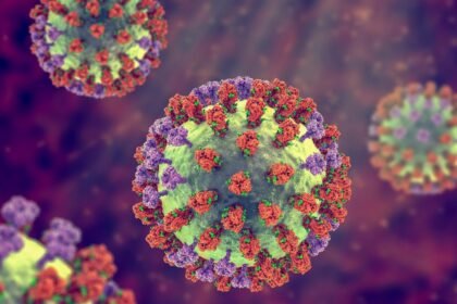 San Francisco records 1st flu-related death this season