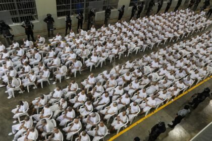 In El Salvador’s mass trials, lawyers struggle to defend hundreds