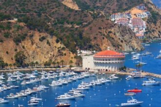 Helicopter crashes off Catalina Island coast, rescue efforts underway