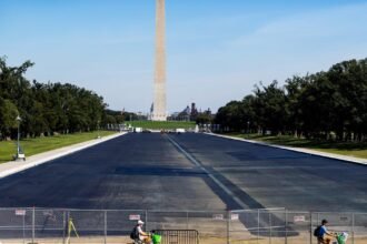 Olympian accused of damaging Reflecting Pool seeks probe of potential misconduct