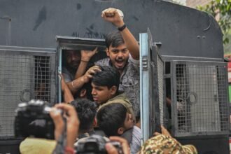 India's "Cockroach Party" leaders released from detention
