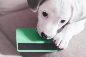 How pet insurance can allow you to spend more on your pets
