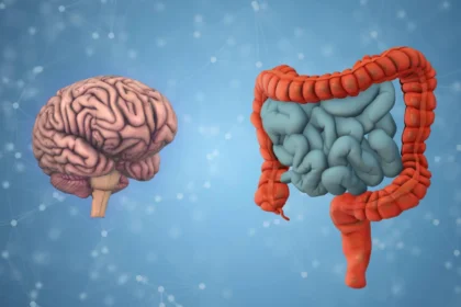 Your gut bacteria may reveal how fast your brain is aging