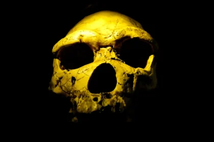 Scientists found Homo erectus 200,000 years earlier than expected