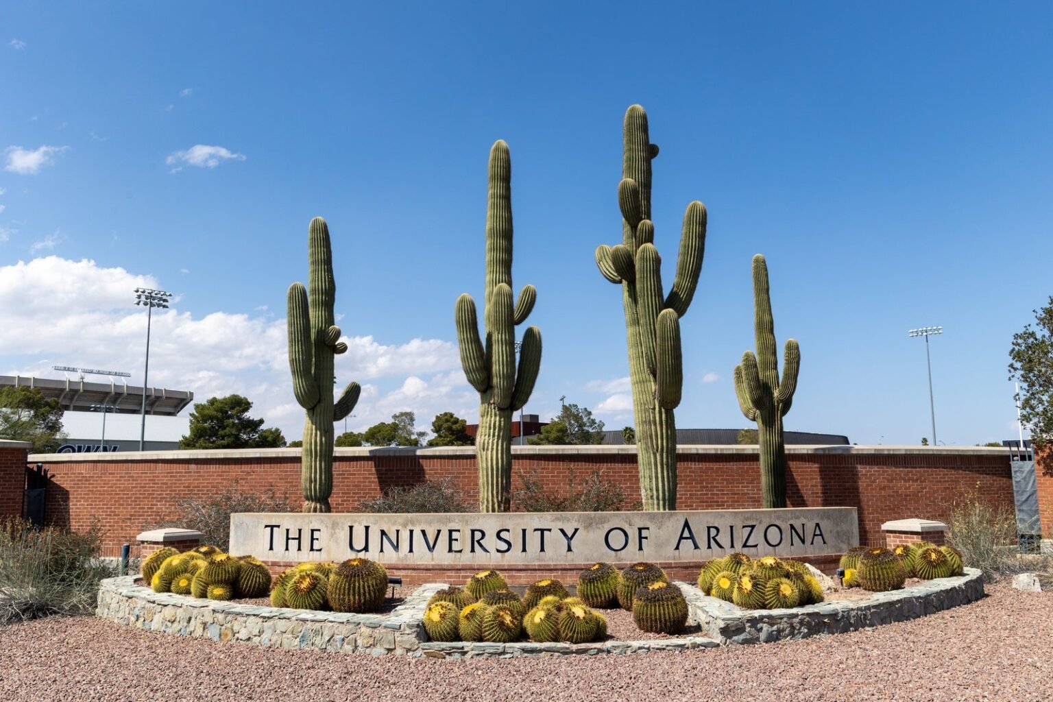 College suspends fraternities over multiple misconduct reports in new term
