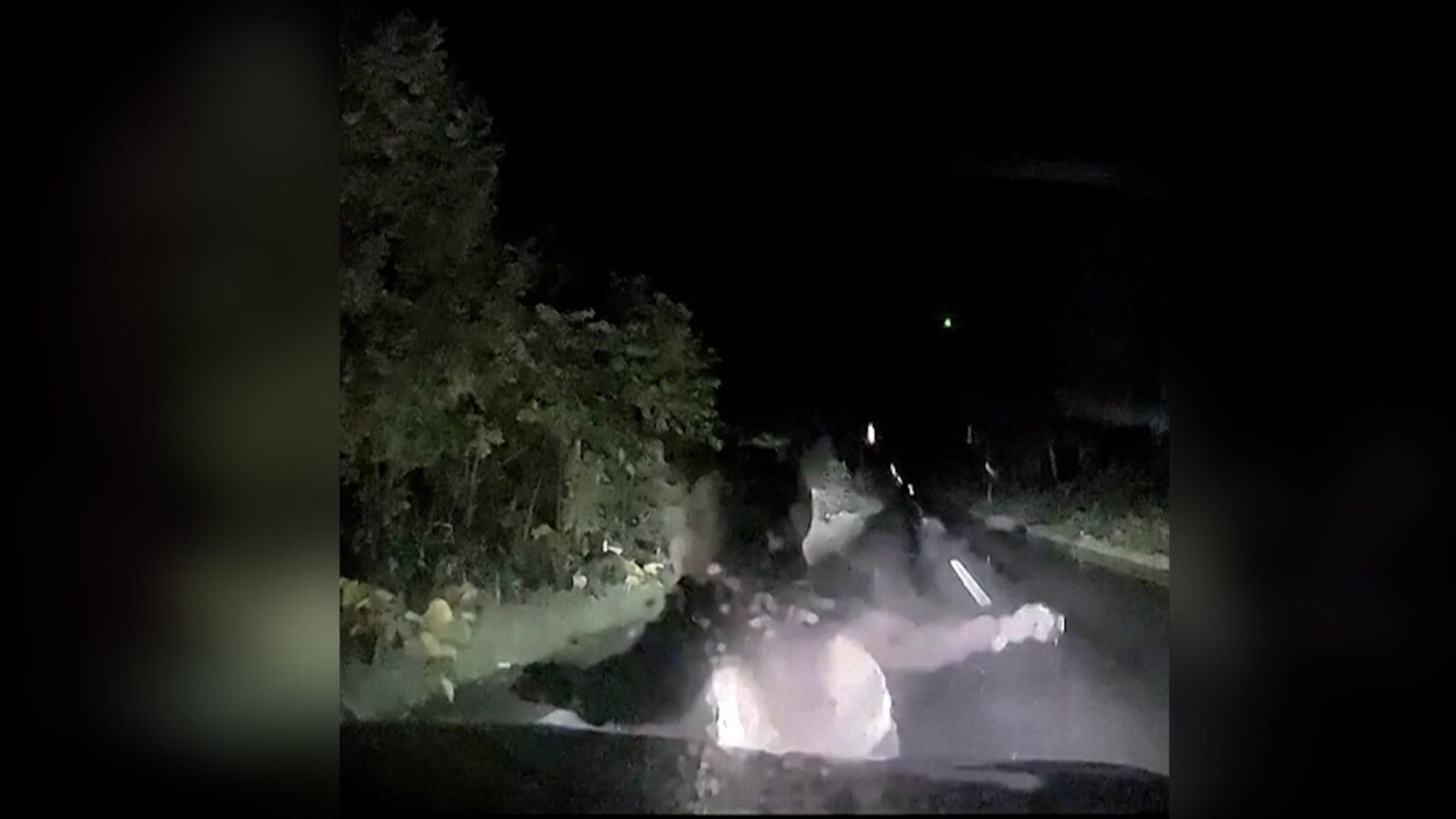 Moment mother bear slams into car to protect cub