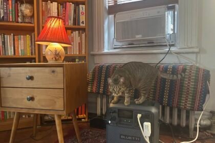 How I kept cool with NYC's free battery program for window AC units