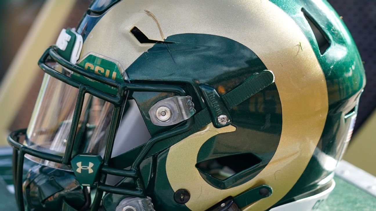 CSU defensive coordinator leaves sideline in first half, fired after game