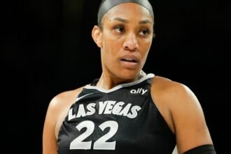 Source: No discipline for Aces' Wilson over fan confrontation