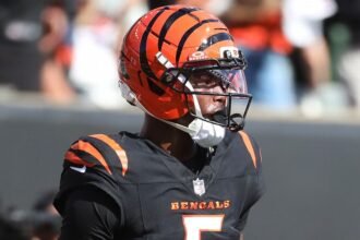 Bengals WR Higgins day-to-day with adductor injury, Taylor says