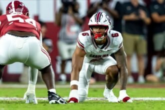 Gamecocks' Stewart back from suspension; game status undecided