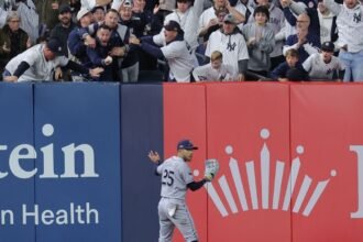 Fan called for interference in Bronx as Yankees lose out on tying, 2-run HR