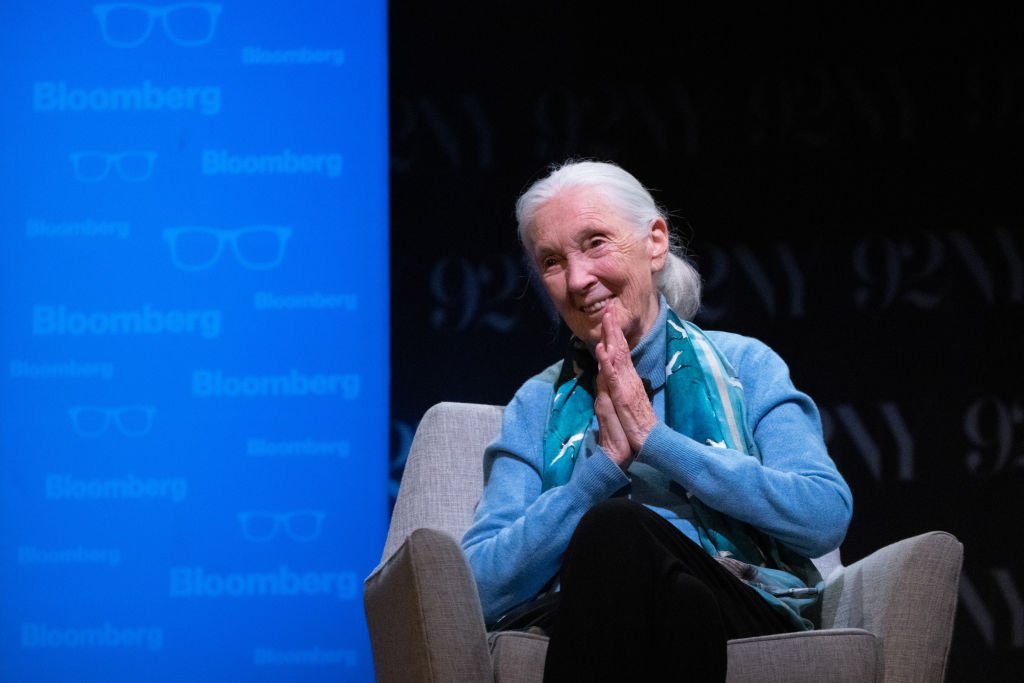 Jane Goodall Prepared Us for a World Without Her