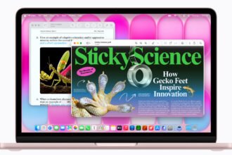 Why is this the only pink MacBook available right now?