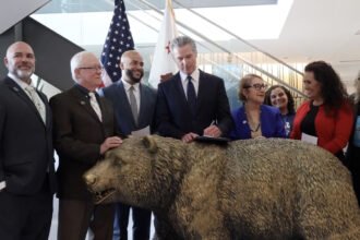California's new law bans companies from relying on AI to fire workers