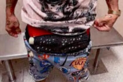 Man fowls around and finds out while sneaking 10 birds through Florida airport in his pants
