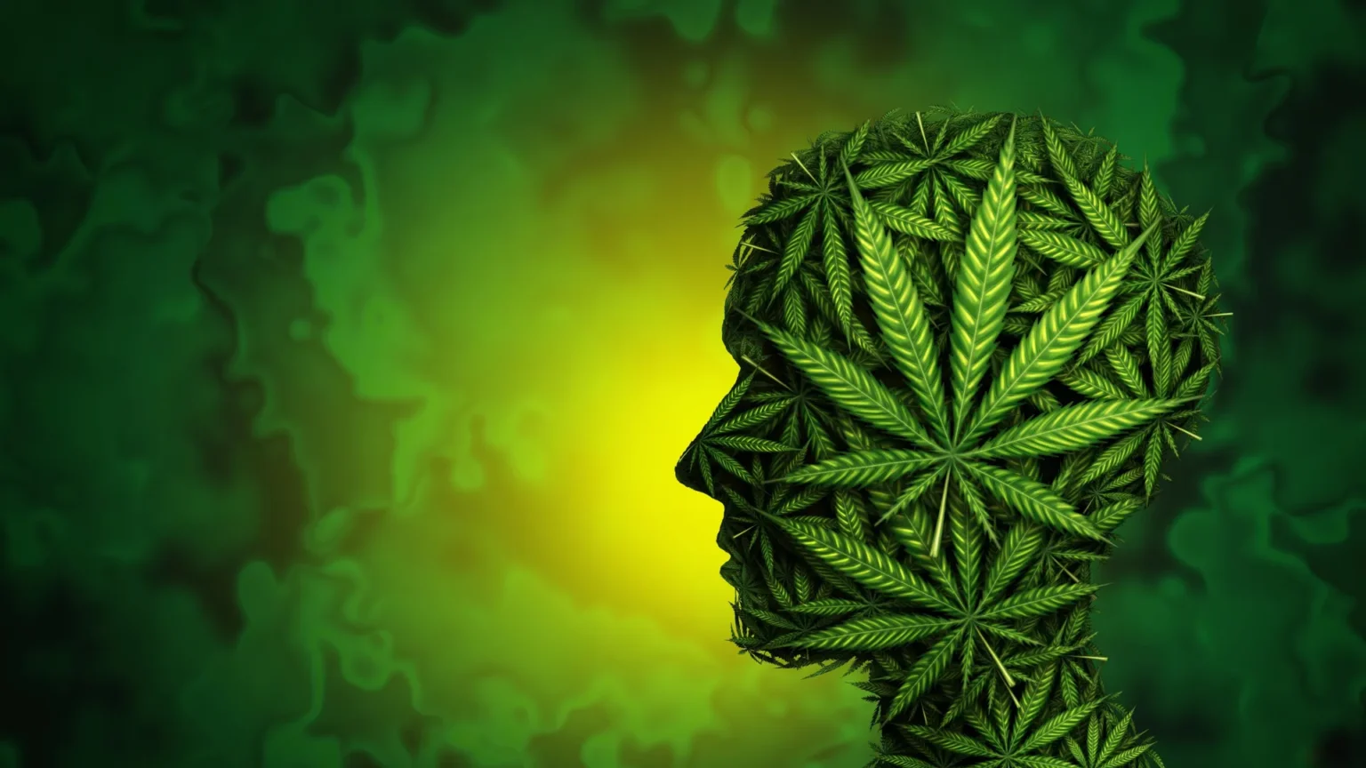 What happens in the brain when cannabis makes you anxious?