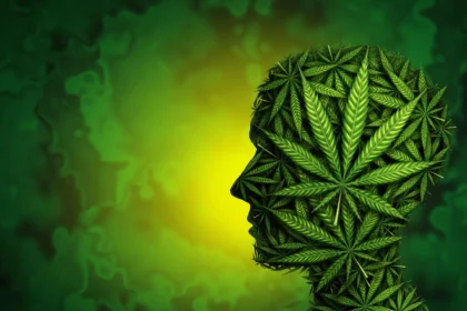 What happens in the brain when cannabis makes you anxious?