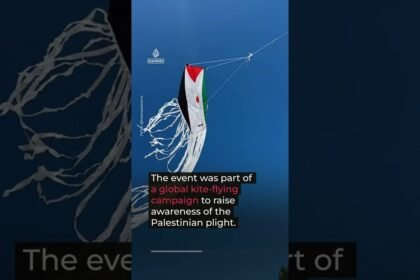 Activists protest Indian police raid over kite-flying event for Palestine | #AJ shorts