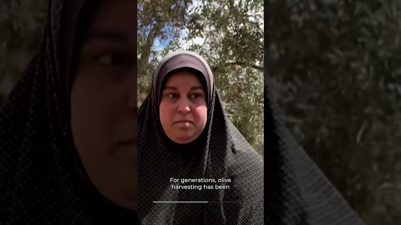 Israeli settlers systematically target the Palestinian olive harvest | AJ Shorts