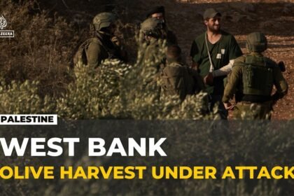 Occupied West Bank attacks: Israeli settlers carry out raids during olive harvest