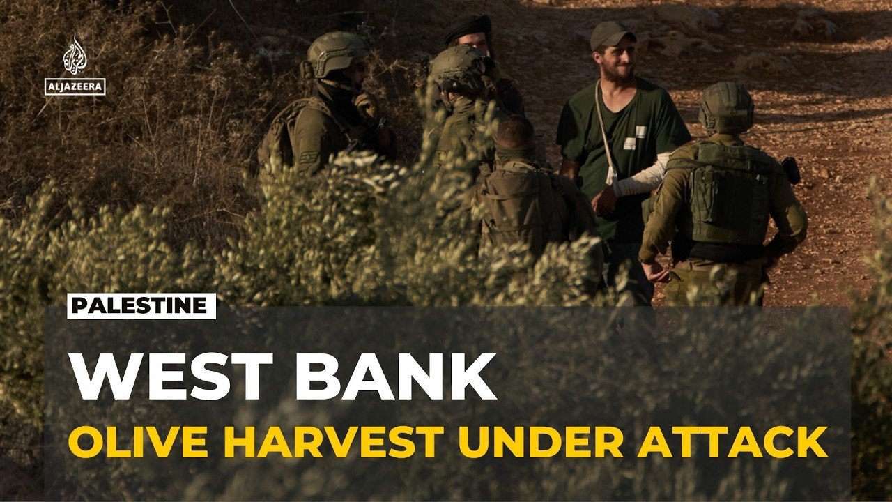 Occupied West Bank attacks: Israeli settlers carry out raids during olive harvest