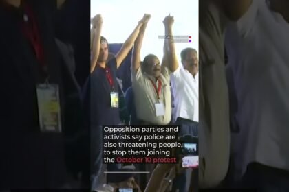 India’s Cockroach Party says members detained ahead of protest | AJ #shorts