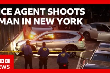 ICE agent shoots man in New York City | BBC News
