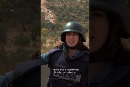 Palestinians seek protection from violent settlers during olive harvest | AJ #shorts