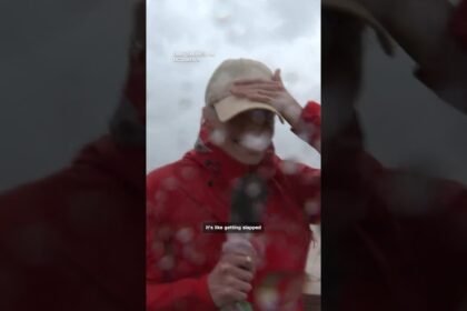 CNN reporter says Isaias rain is like 'getting slapped right in the face'