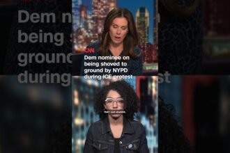Dem nominee on being shoved to ground by NYPD during anti-ice protest