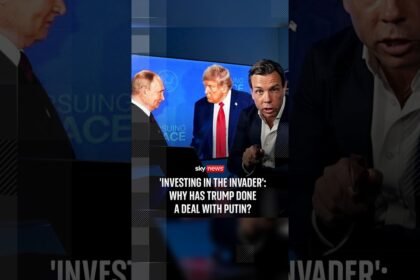 'Investing in the invader': Mark Stone breaks down Trump's deal to buy Russian diesel