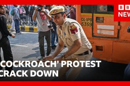 Police crack down on India 'cockroach' protest in Delhi | BBC News