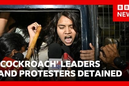 'Cockroach' leaders and hundreds of protesters detained in Delhi | BBC News