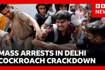 Cockroach protest leaders among hundreds detained in Delhi crackdown | BBC News
