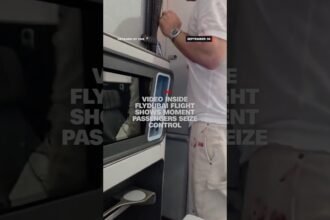 Video inside Flydubai flight shows moment passengers seize control