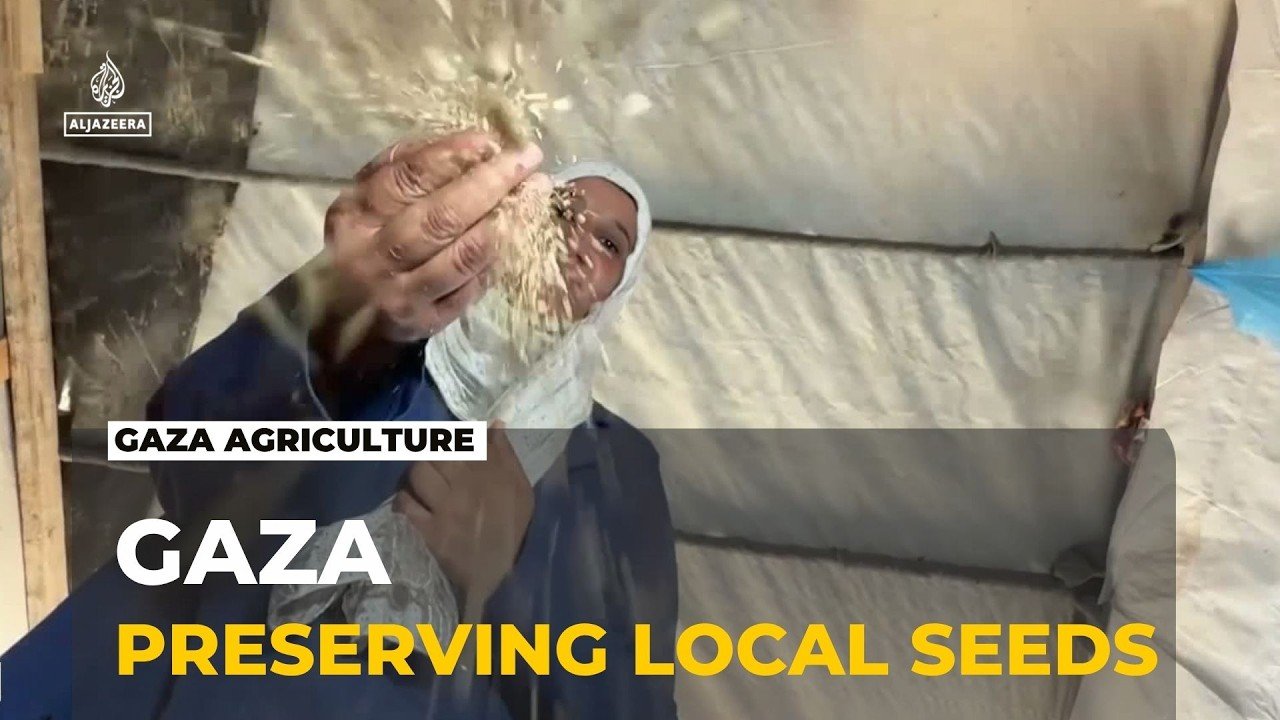 Gaza's seed bank: Digging deep to preserve agricultural heritage