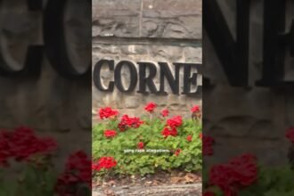 Letitia James takes over Cornell gang rape case as special prosecutor