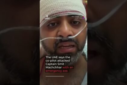 What we know about the co-pilot accused in Flydubai attack | AJ #shorts